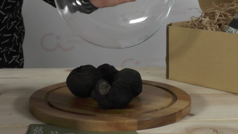 Consejos para Maridar Vinos con Platos de Trufa